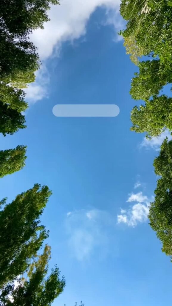 550686012 635552922711165 4772609926048259110 n 1.jpg